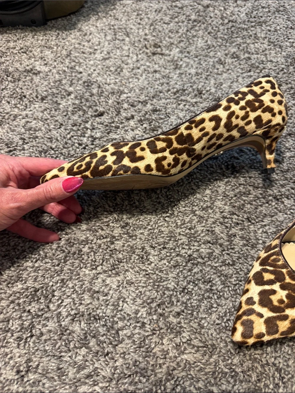 Sam Edelman Leopard-Print Pointed Toe Flats - Brown & Black